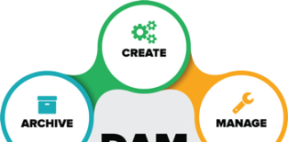 Leverage the Power of Digital Asset Management